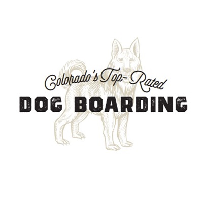Dog Boarding at Cowie's Cows Ranch in Elizabeth Colorado