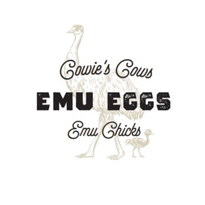 Emu Eggs and Chicks at Cowie's Cows Ranch in Elizabeth Colorado