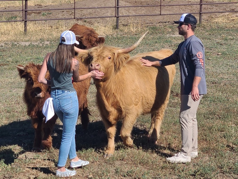 Cowies Cows Ranch Visits