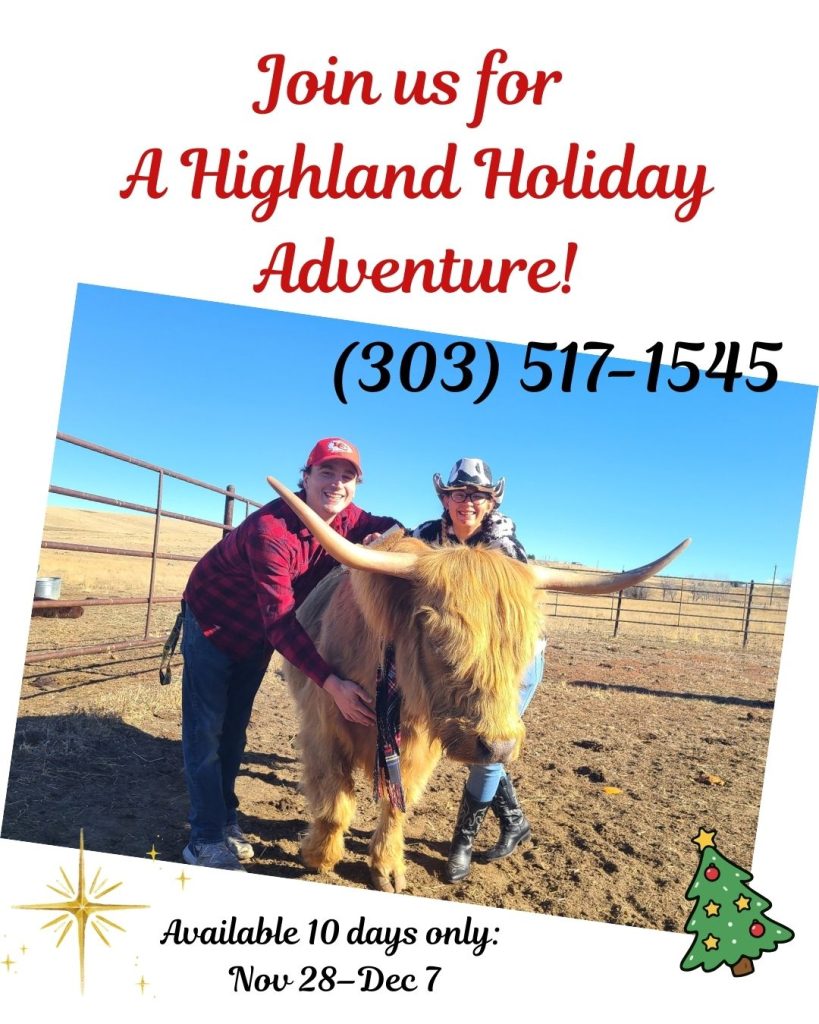 A Highlands Holiday at Cowie's Cows Colorado Elizabeth ranch visits