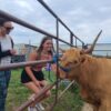 Cowies Cow Ranch Visits