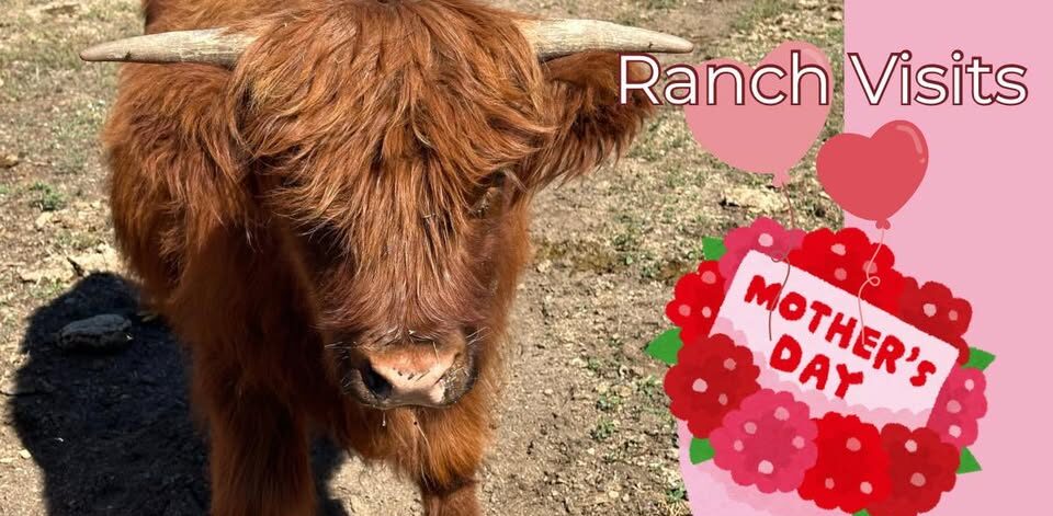 Mother's Day Ranch visits Cowie's Cows 2026